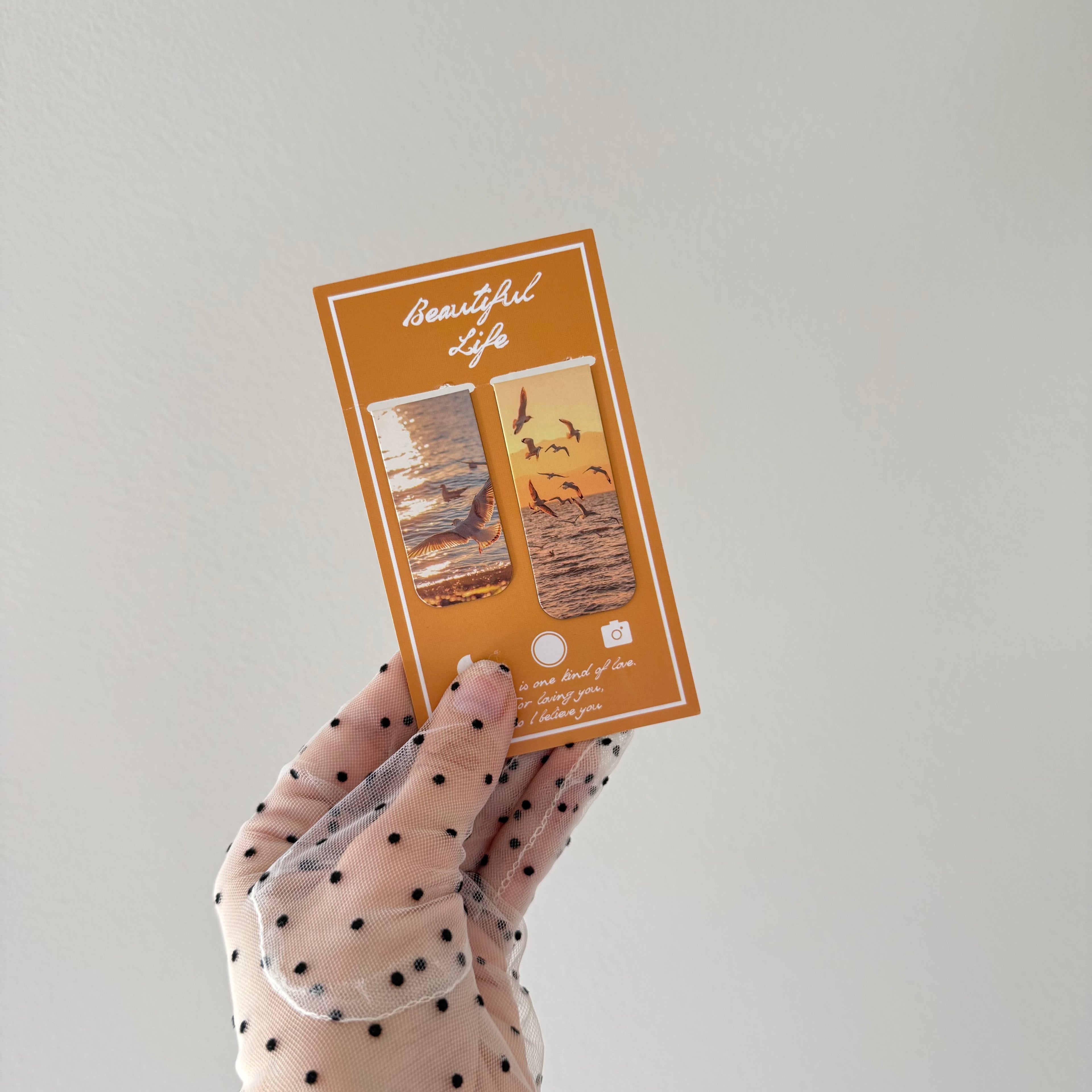 Magnetic Bookmarks Set